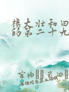 杨大壮和田桂花的第二十九