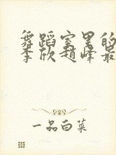 舞蹈室里的景色李欣赵峰最新章节