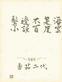 鬓边不是海棠红小说百度云