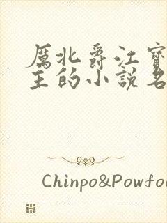 厉北爵江宝宝男主的小说名字