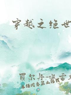 穿越之绝世皇后