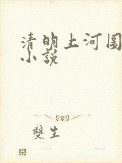 清明上河图密码小说