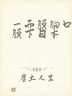 一面膜胸口一面膜下日本