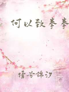 何以致拳拳番外