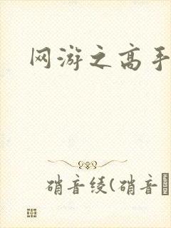 网游之高手寂寞