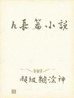 h长篇小说