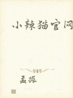 小辣猫官网