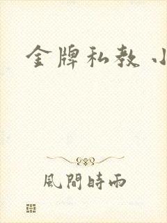 金牌私教 小说