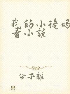 我的小后妈免费看小说