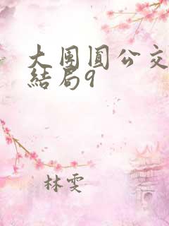 大团圆公交车大结局9