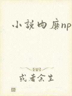 小说肉糜np