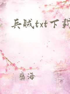 兵贼txt下载