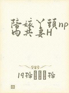 陪嫁丫头np全肉共妻H