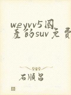 weyvv5国产的suv免费