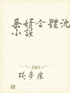 岳婿合体沈绝的小说