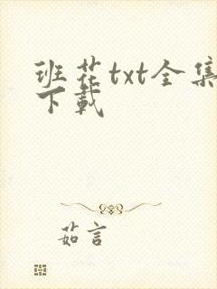 班花txt全集下载
