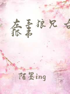 左手狼兄 右手狐弟