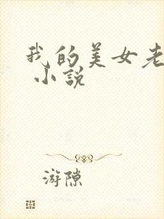 我的美女老婆们 小说