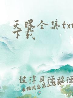 天眼全集txt下载