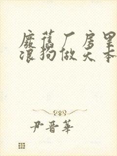 废旧厂房里和流浪狗做天本