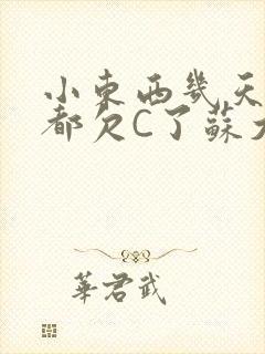 小东西几天没做都欠C了苏大深