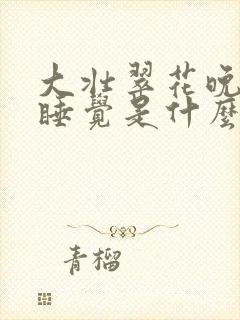 大壮翠花晚上不睡觉是什么电视剧