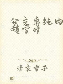 公交车纯肉超H赵雪晴