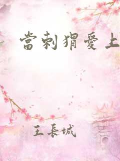 当刺猬爱上玫瑰