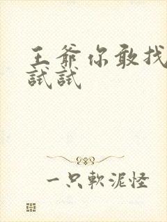 王爷你敢找小三试试