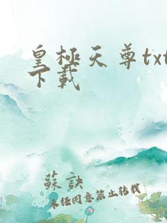 皇极天尊txt下载