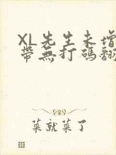 XL先生未增删带无打码翻译