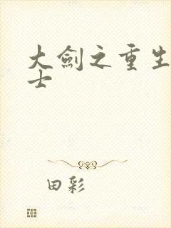 大剑之重生圣骑士