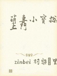 萌妻小宝总裁找上门