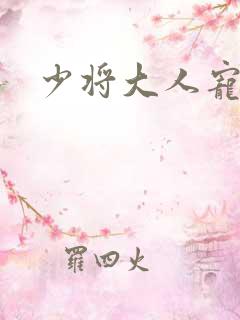 少将大人宠宠我