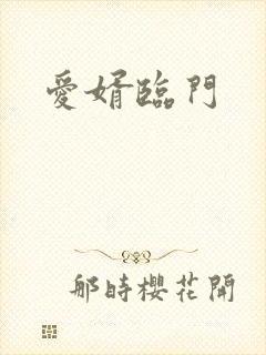 爱婿临门