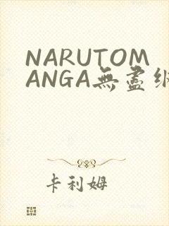 NARUTOMANGA无尽纲手