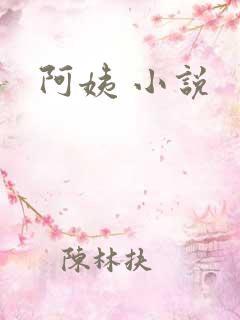 阿姨 小说