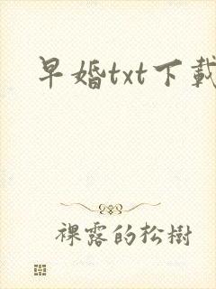早婚txt下载