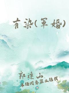 有染(军婚)