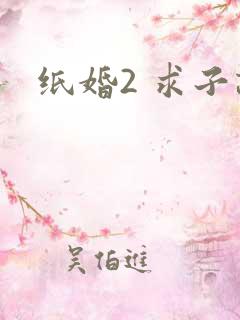 纸婚2 求子记