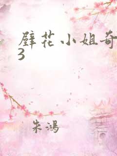 壁花小姐奇遇记3