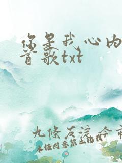 你是我心内的一首歌txt