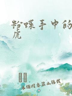 粉蝶手中的纸老虎