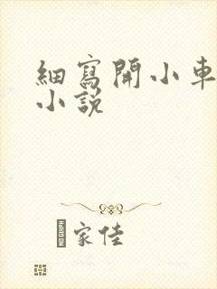 细写开小车车的小说