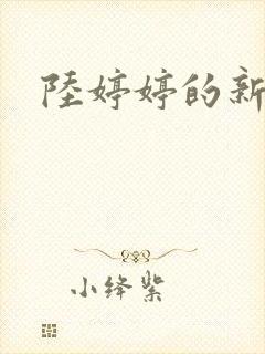 陆婷婷的新故事