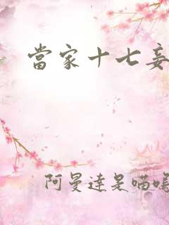 当家十七妾