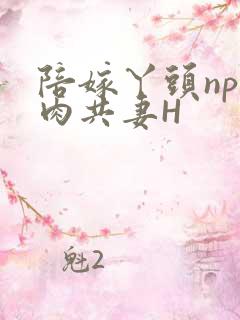 陪嫁丫头np全肉共妻H
