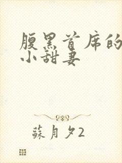 腹黑首席的替身小甜妻