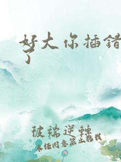 好大你插错地方了