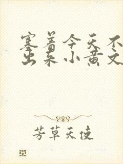 塞着今天不准拿出来小黄文